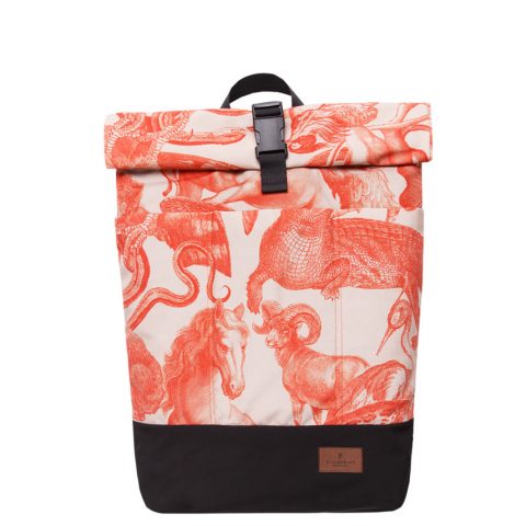 Sesja produktowa dla Stachowicz RTW